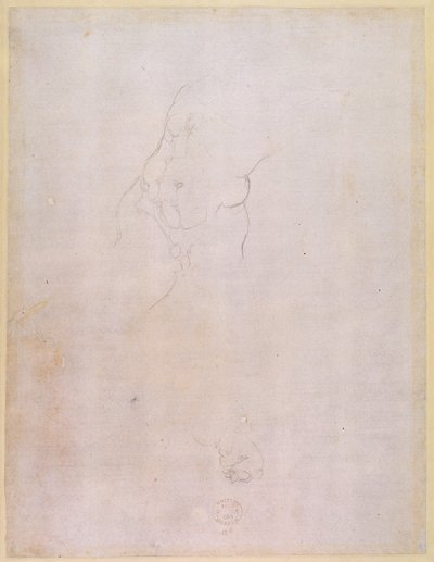 Study of a Male Torso (verso) by Michelangelo Buonarroti